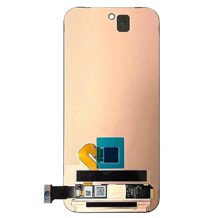 Pixel 9 οθόνες LCD